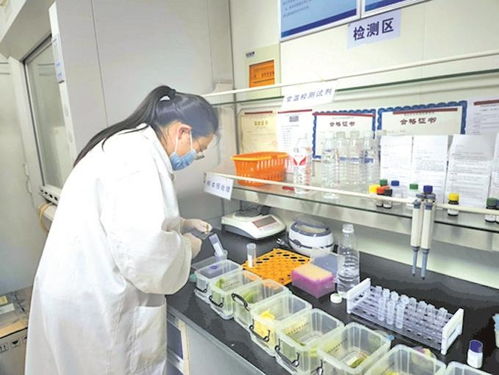 無錫農貿市場實現快檢全覆蓋，上半年檢測90多萬批次合格率超99%